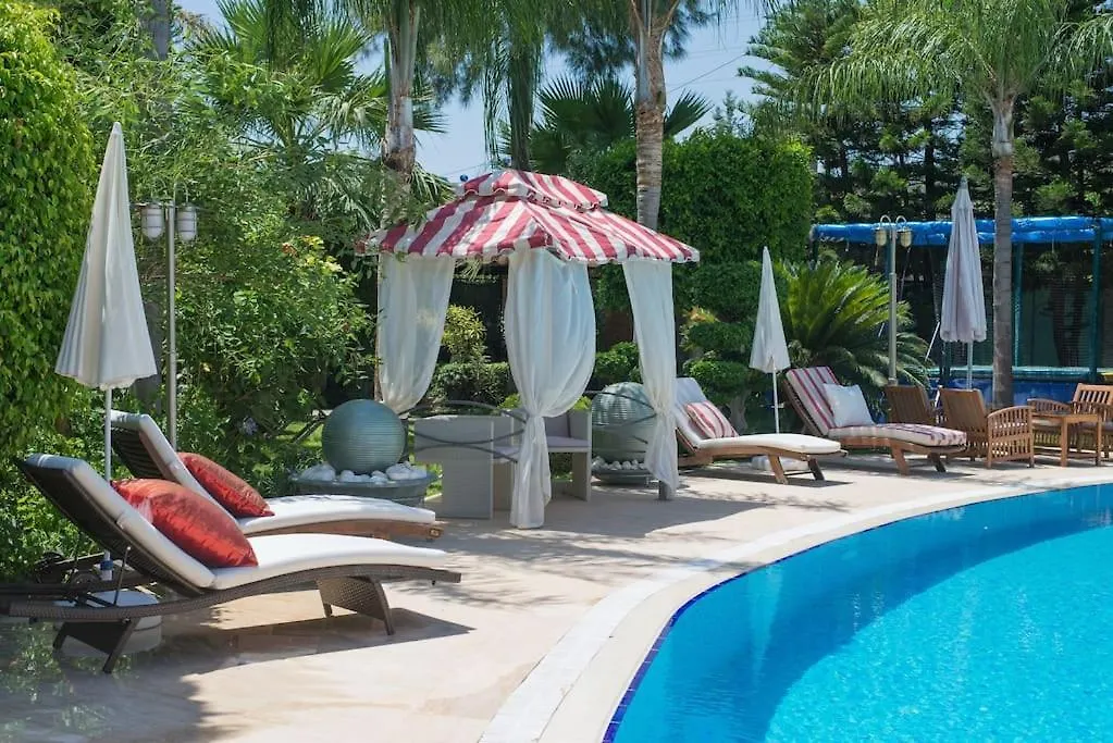 Sofia Residence Dream Villa-1