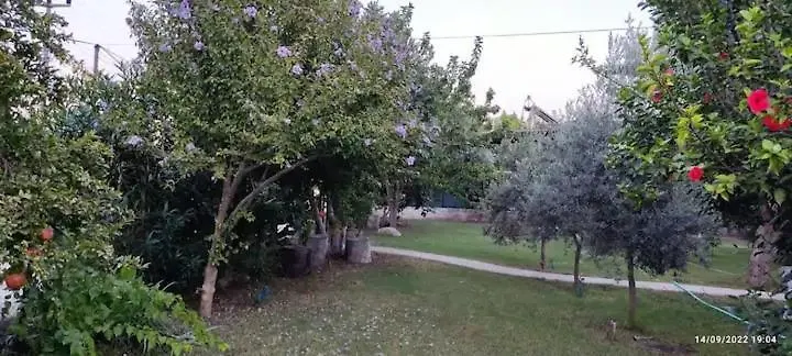 Bungalow With Access To A Large Garden Near Beach-1