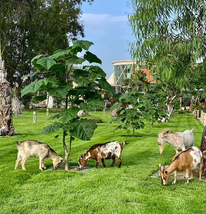 Butiq Garden-1