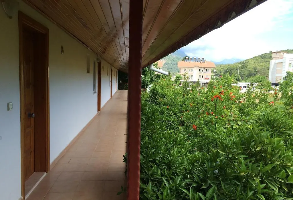 Paradise Holiday Homes-1
