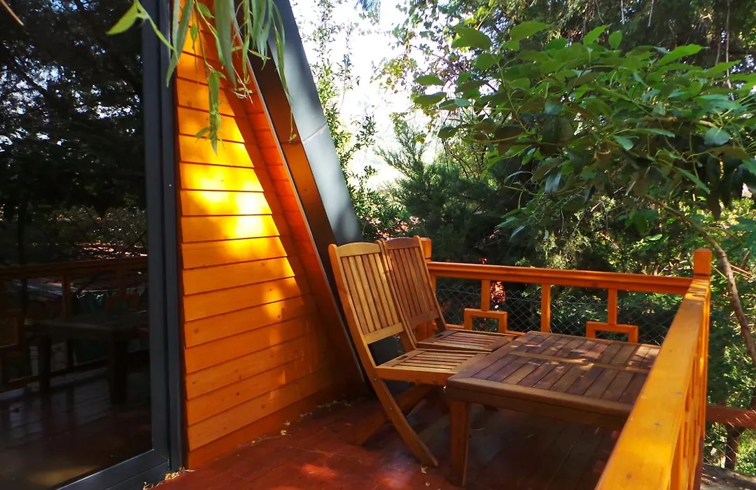 Trinitys Forest Bungalows-1