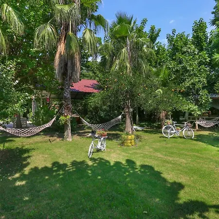 Rose Bungalow-2