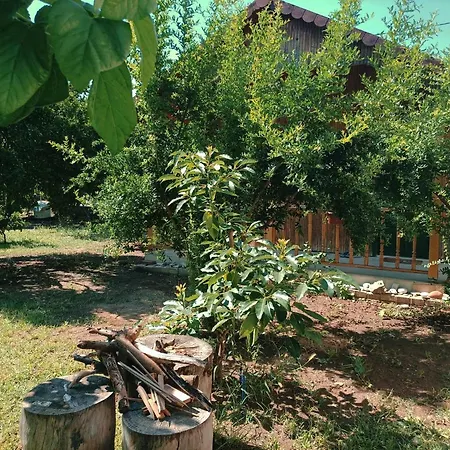 Bungalow With Access To A Large Garden Near Beach-3