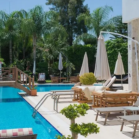 Sofia Residence Dream Villa-3