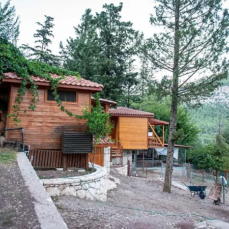 Trinitys Forest Bungalows-2