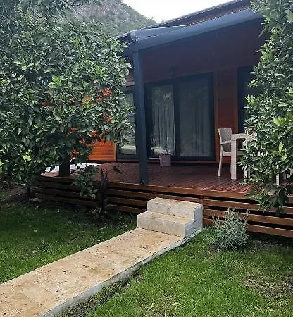Julya Tiny House-2