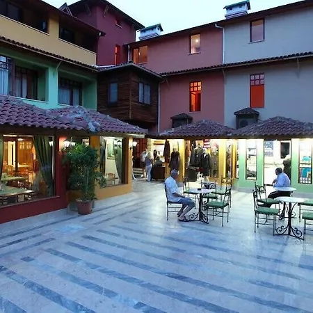 Seagull-3