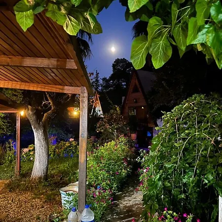 Oran Ağaç Bungalovs-2