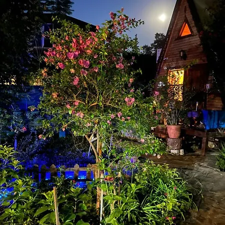 Oran Ağaç Bungalovs-3