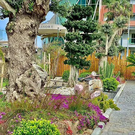 Butiq Garden-2