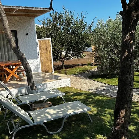 Mysa Kemer-2