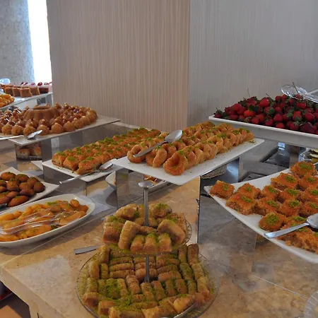 Elamir Resort Hotel-2