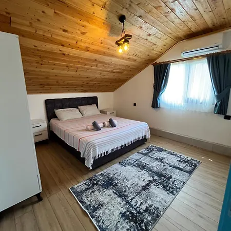 Sea Life Homes-2