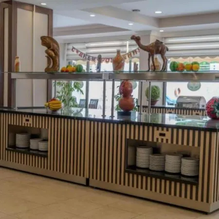 Erkal Resort Hotel-2