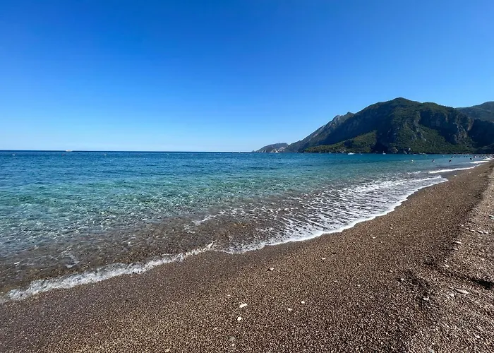 Huisdiervriedelijke Pinea Pansiyon Kemer